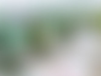 Eucalyptus Bridal Shower