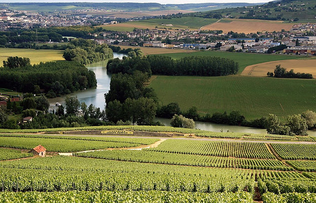Champagne_Vineyards Reims.jpg