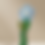 Thumbnail: Fluffy Flower