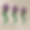 Thumbnail: Fluffy Flower