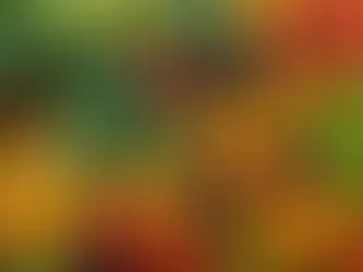 Understanding the Role of Vitamins in Wellness