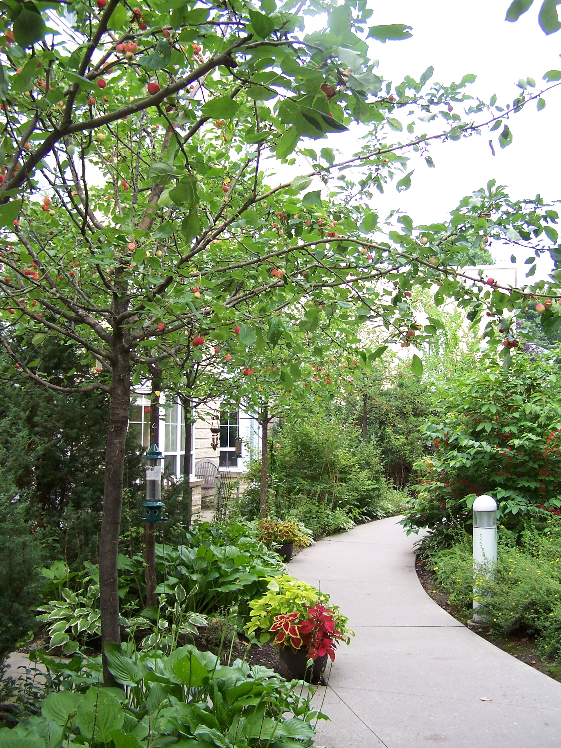 Victoria House Retirement Home Orillia