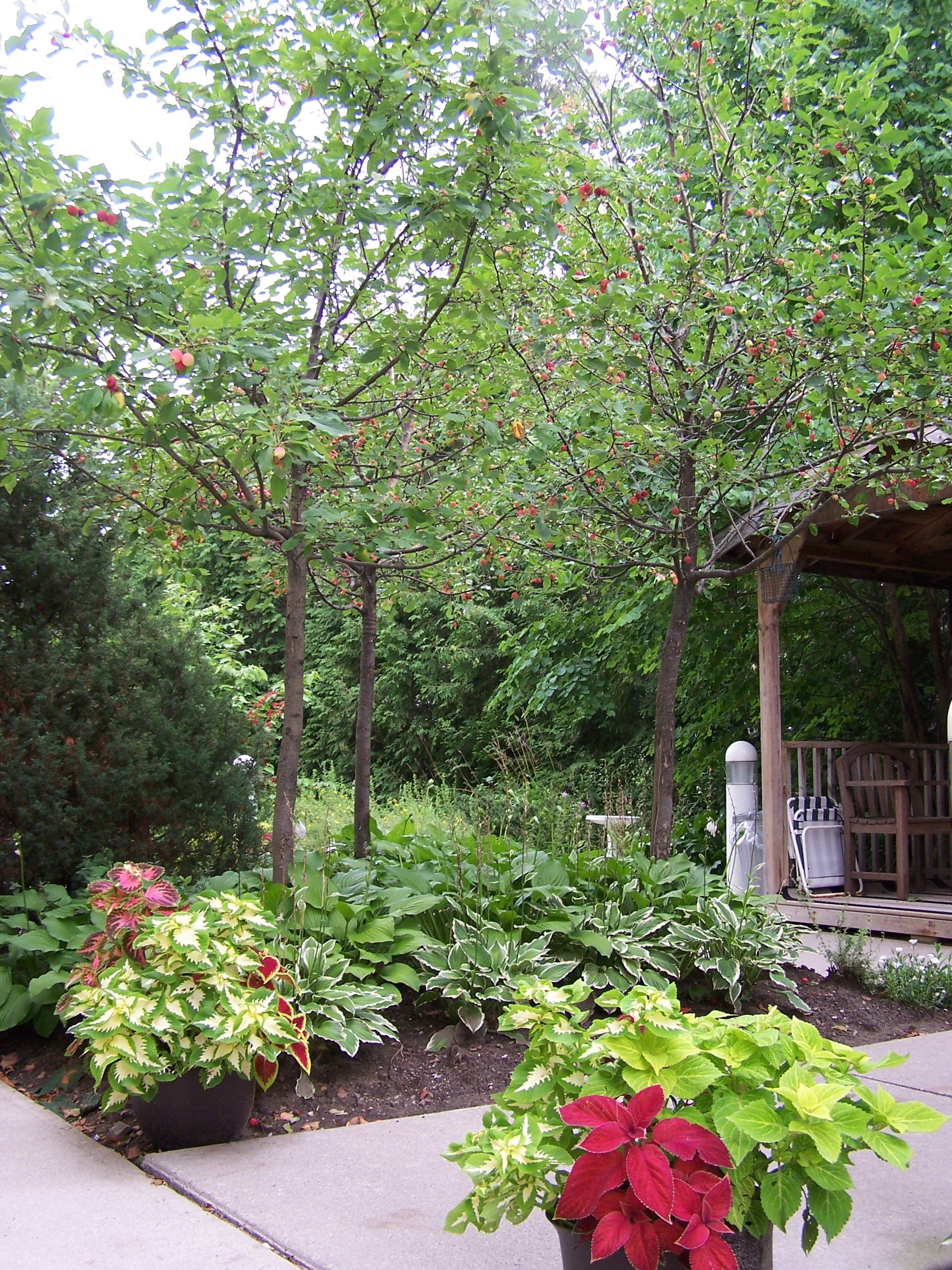 Victoria House Retirement Home Orillia