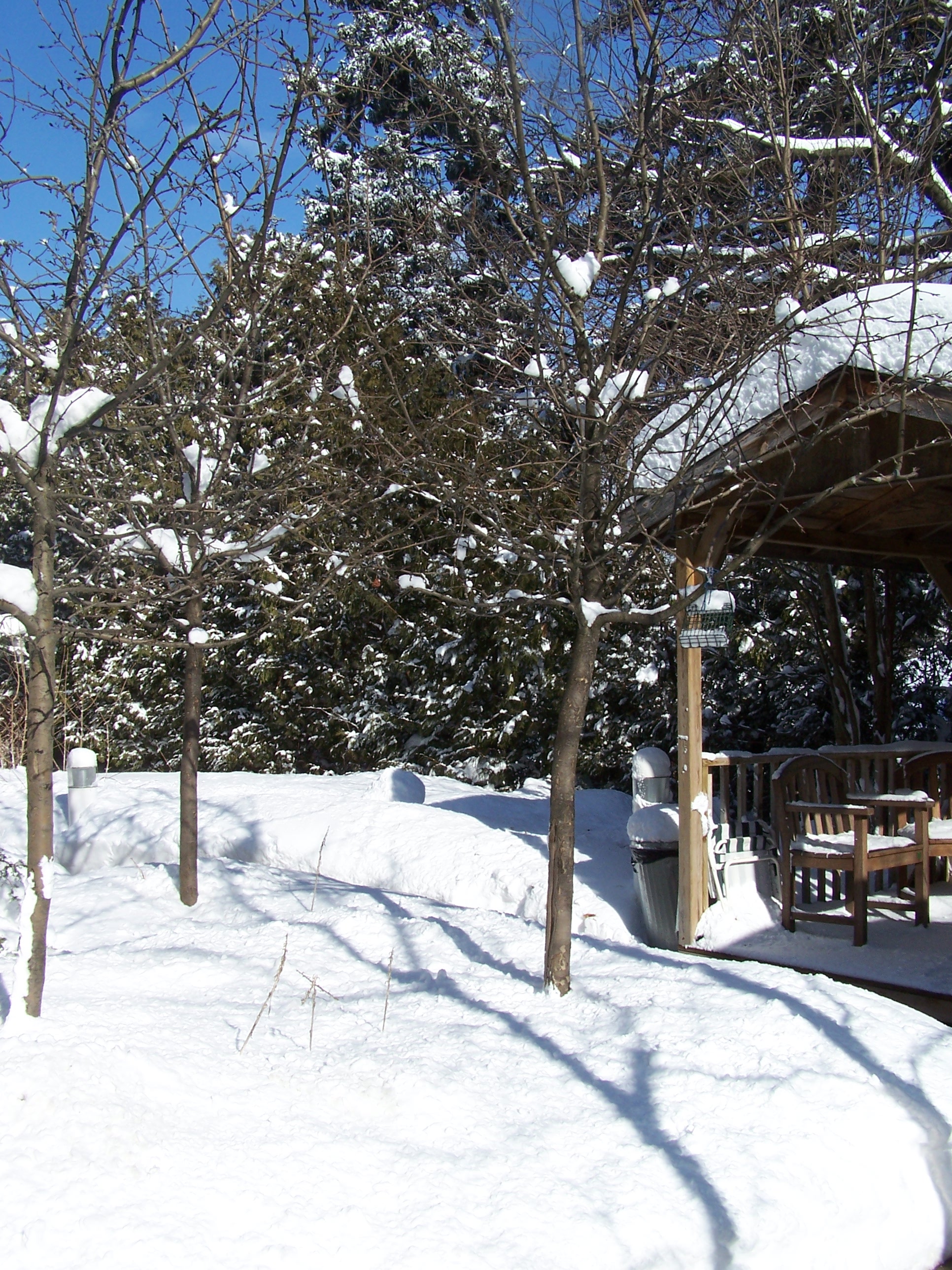 Victoria House Retirement Home Orillia