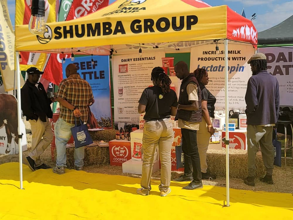 Shumba Group exhibition tent with staff and visitors