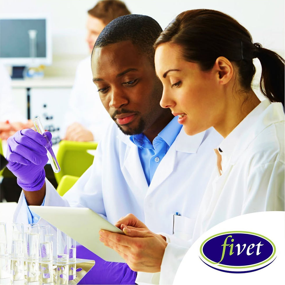 Scientists at Fivet researching animal health solutions.