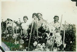 תלמידות בשדה כותנה