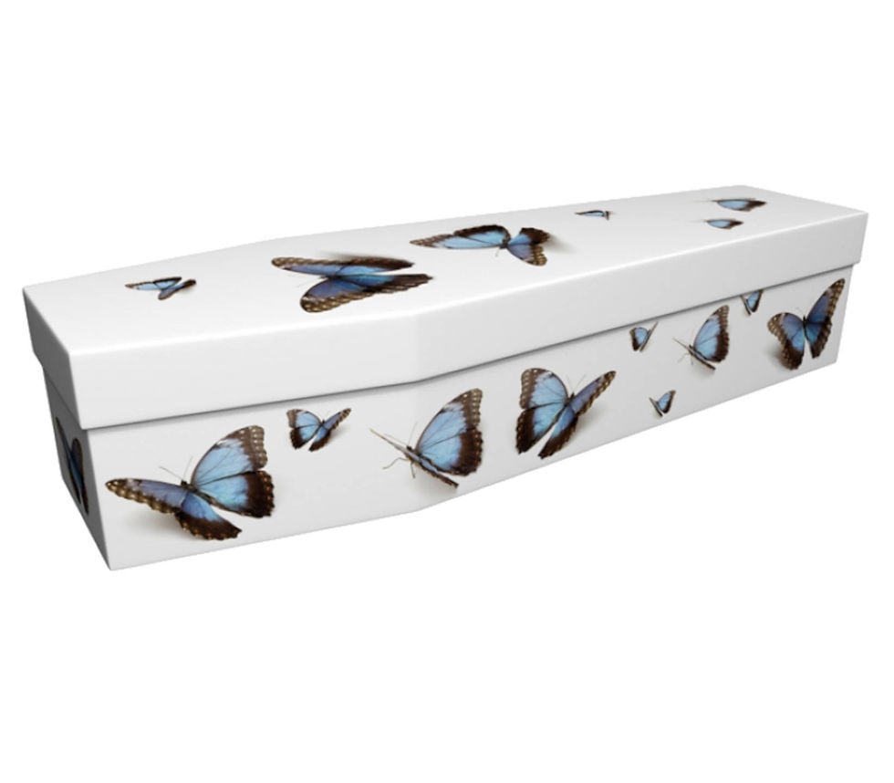 Blue butterflies