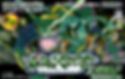 Portada nipona, de Pokémon Emerald también indica conexión con GCN