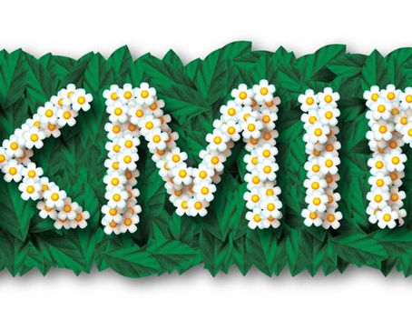 #Gamefemerides: Pikmin 2