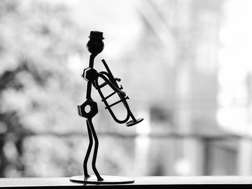lucasfz70-musician-623362_1920.jpg