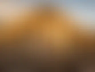 Historic stone building with large arched windows under warm evening light.