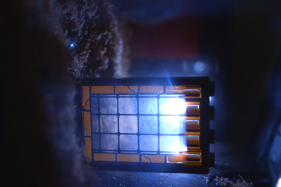 December 12th Photo Journal