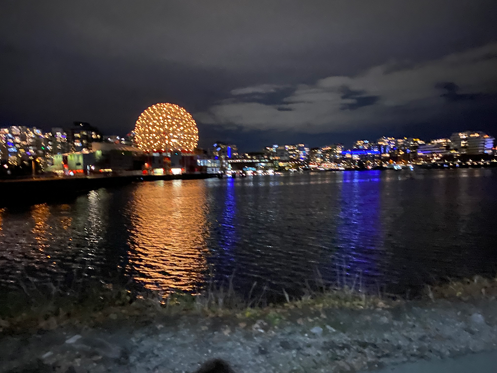 November 14th Photo Journal