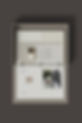 DEVELOPMENT_edited.jpg