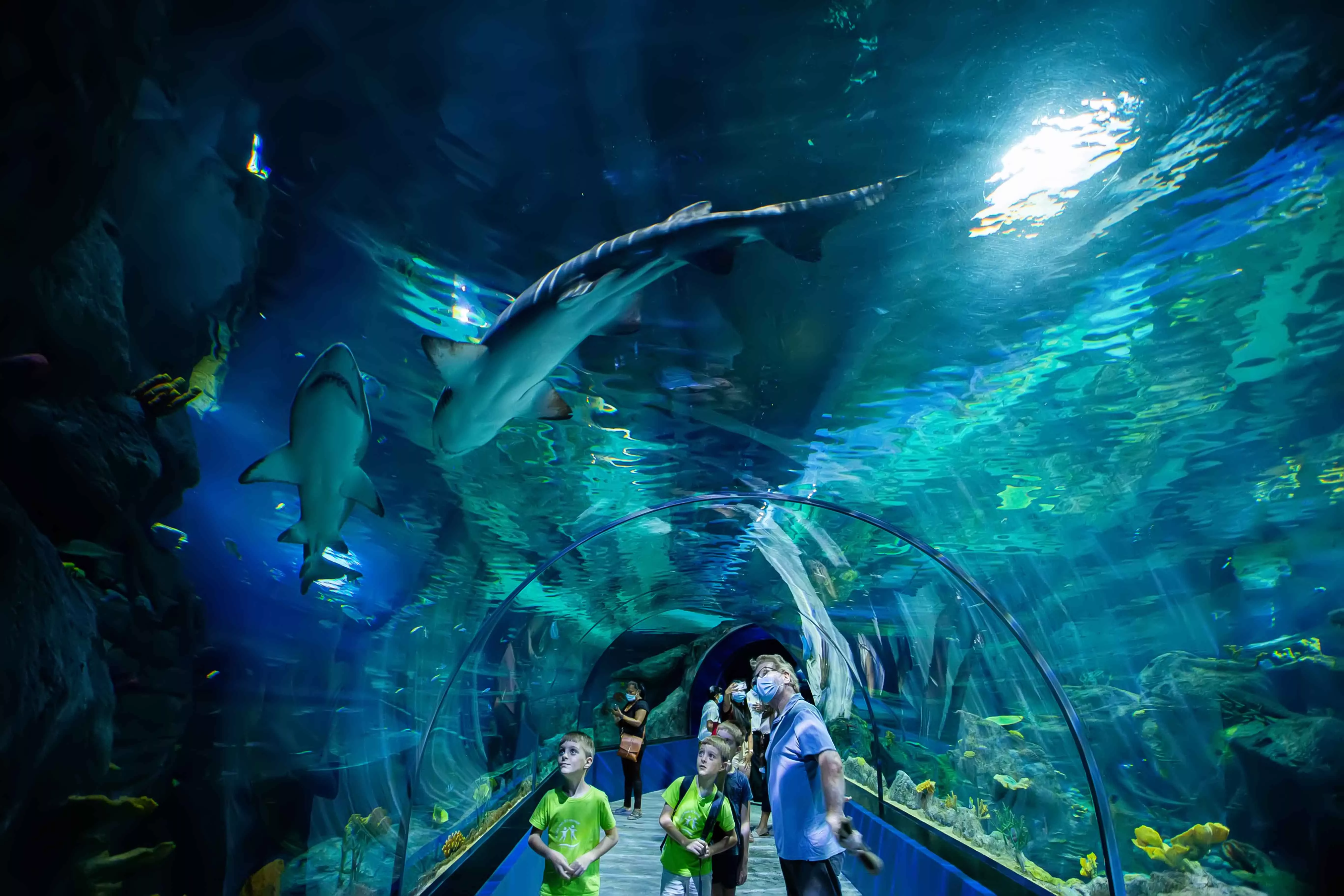 Odysseo L'Océanarium Mauritius