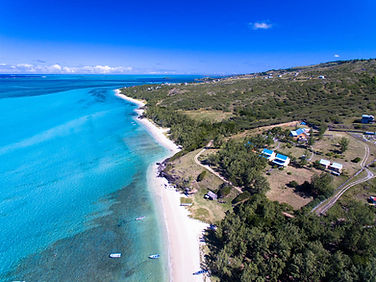 The Beautiful Rodriguan