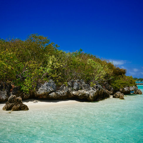 Point d'Esny, Île Maurice