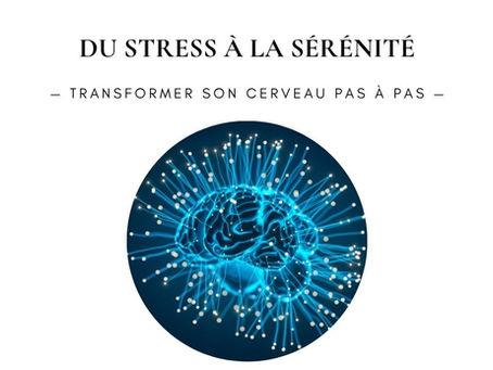 DU STRESS À LA SÉRÉNITÉ : transformer son cerveau pas à pas