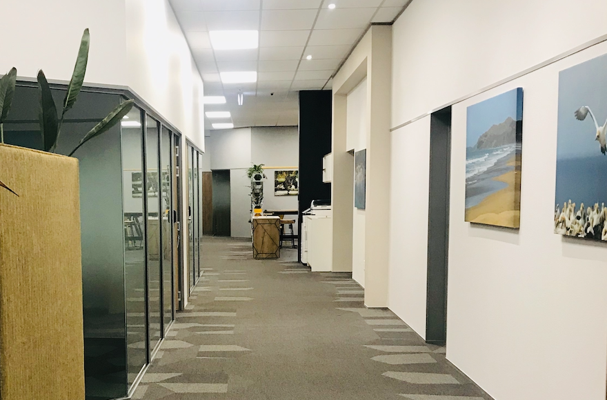 Looking from the lobby towards the cafe space, showing the high ceilings, generous glazing and artworks
