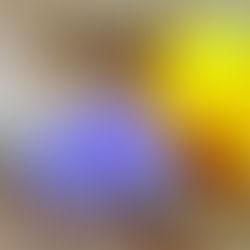 Цикория при чернодробни заболявания