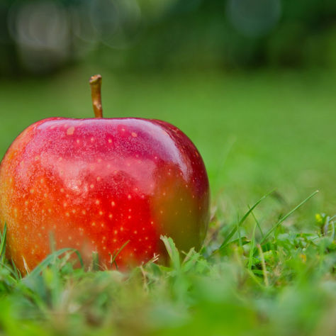 Ябълков оцет - лечебни свойства и приложения
