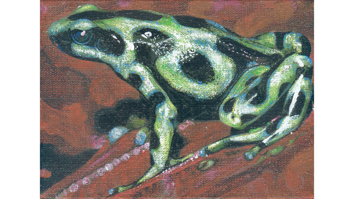 AURATUS