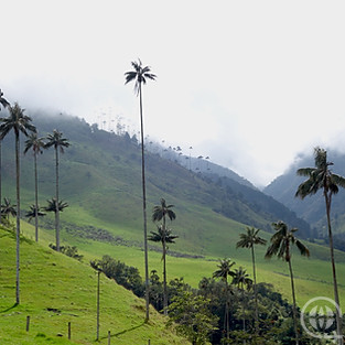 Colombia