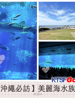 Okinawa Churaumi Aquarium: A Family Adventure in the Ocean World