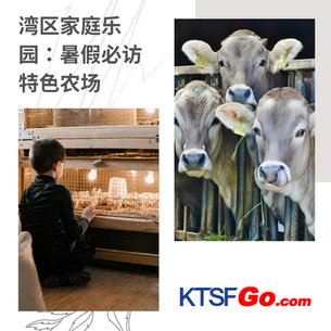 湾区宝藏农场:亲子同乐的好去处
