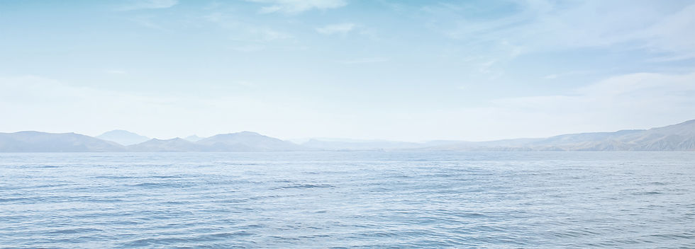 Vue paisible sur la mer