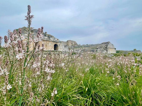 Miletus in Springtime