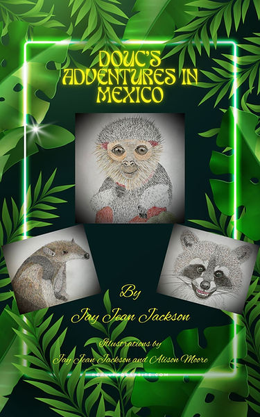 Front cover of Douc's Adventures In Mexico