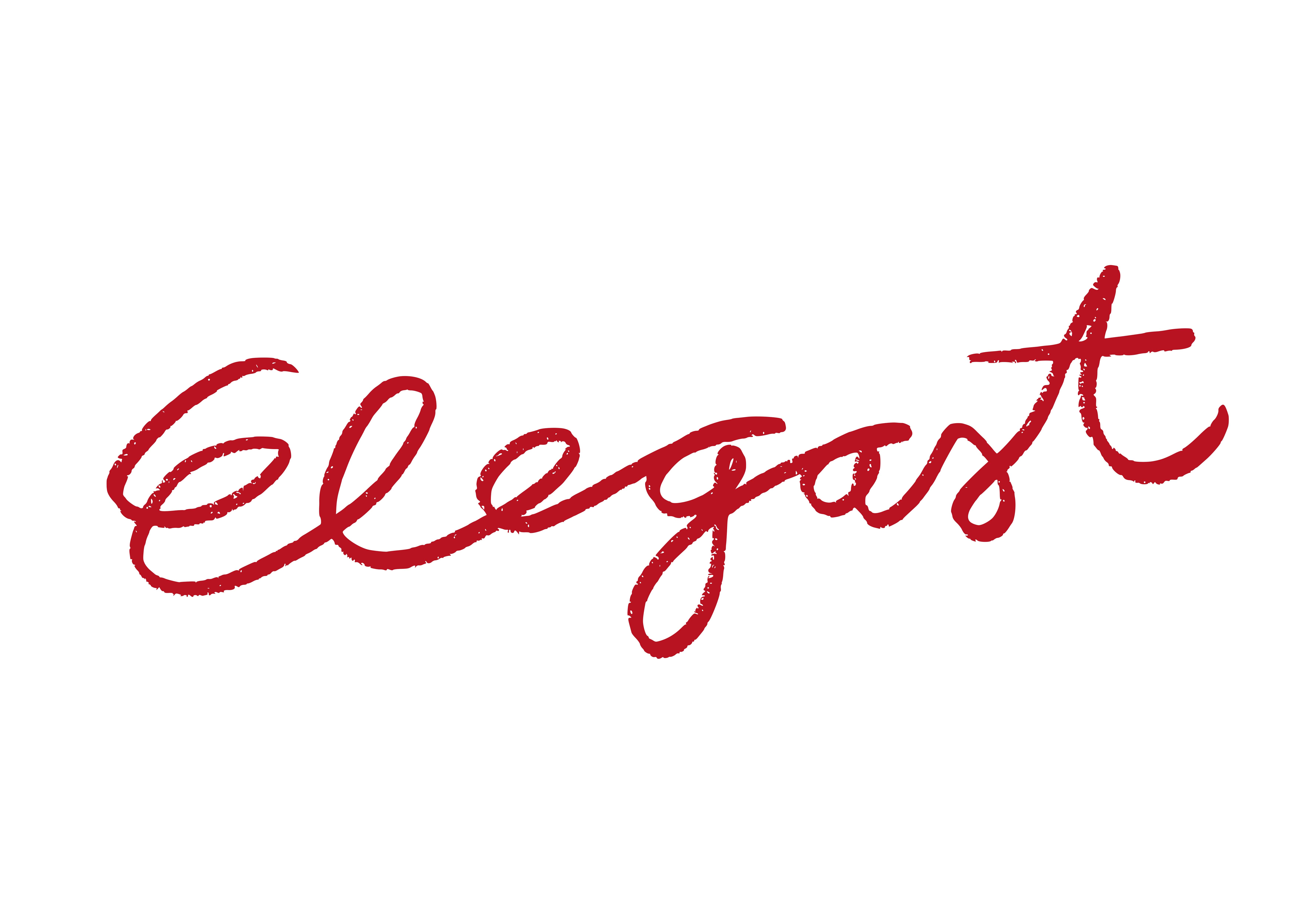 Vector titel rood.jpg