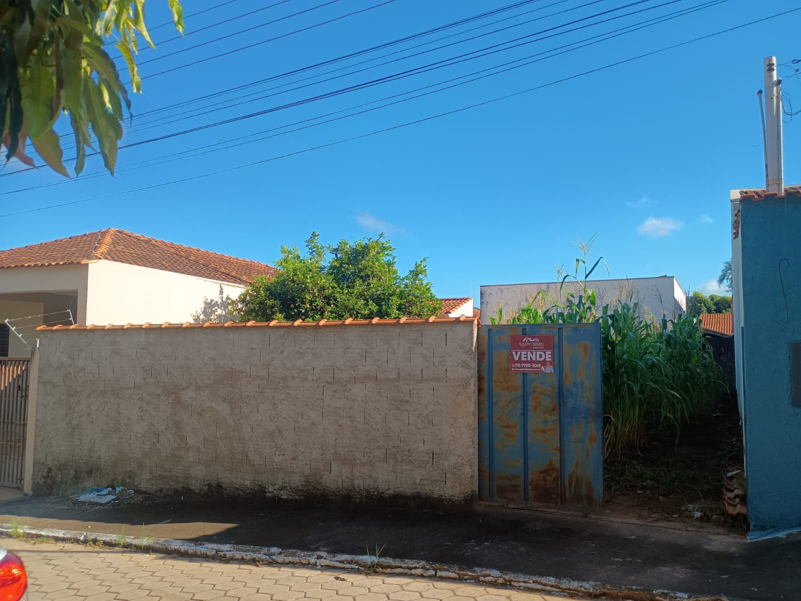 LOTE DE TERRENO PLANO MURADO
