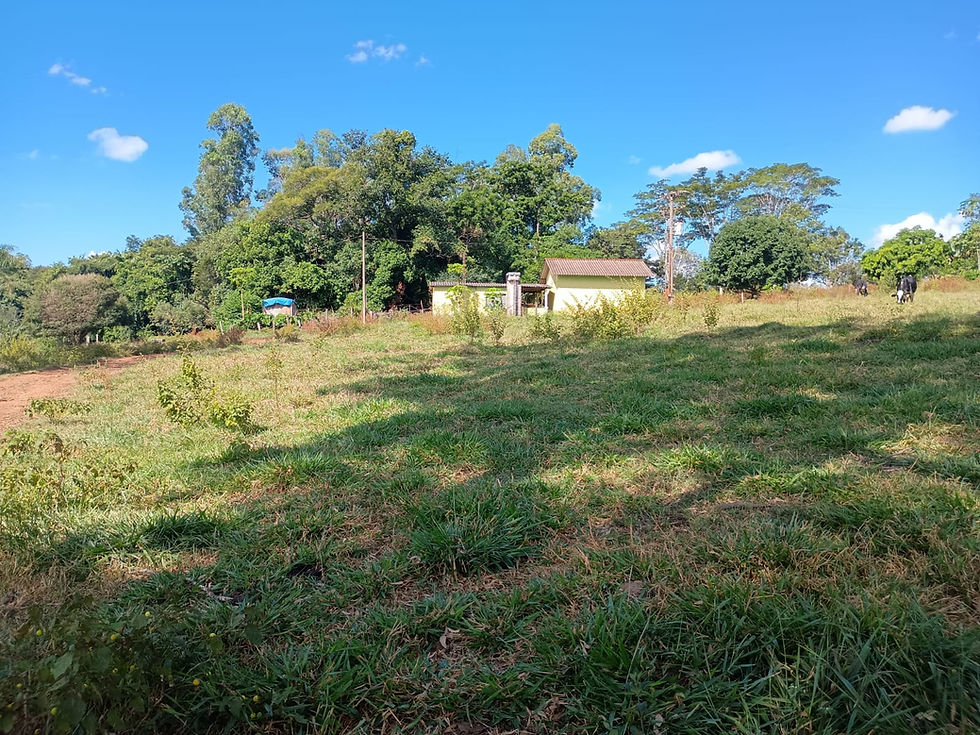 Miniatura: SÍTIO DE 1.8 HECTARES COMPLETO