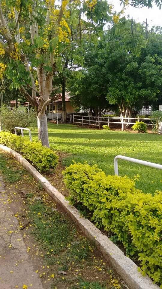 Miniatura: LINDA CHÁCARA NA CIDADE C/ ÁREA DE 3.200M²
