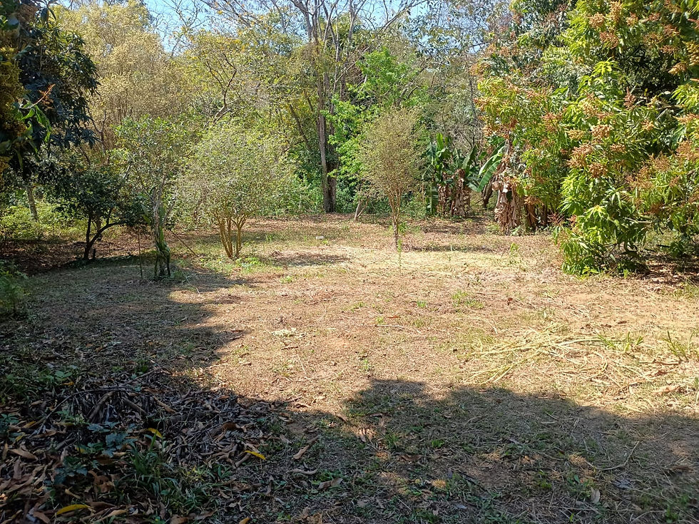 Miniatura: LINDA CHÁCARA COM 3.000M² RICA EM ÁGUA