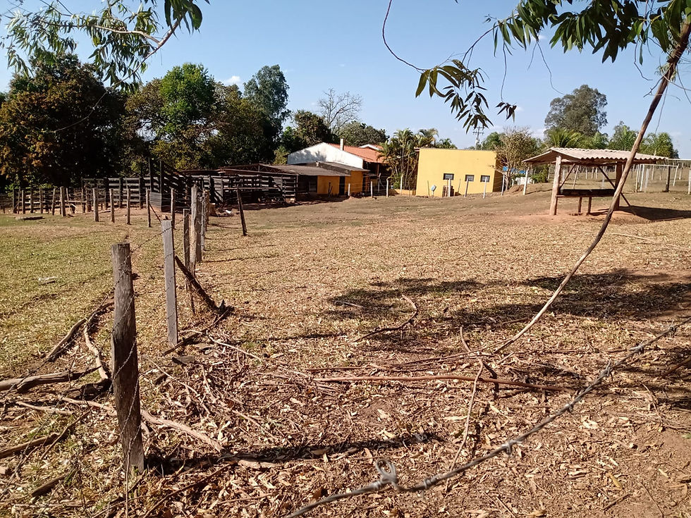Miniatura: MELHOR SÍTIO A VENDA NA NOSSA REGIÃO