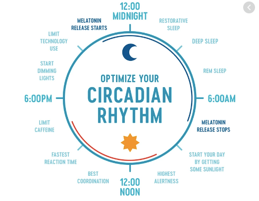 How to optimize your circadian rhythm infographic