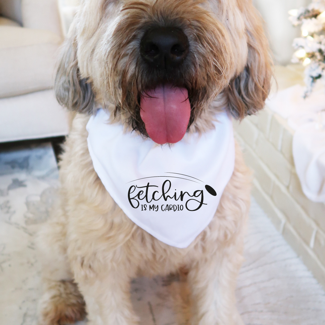 Fetch is my Cardio Bandana Add-On