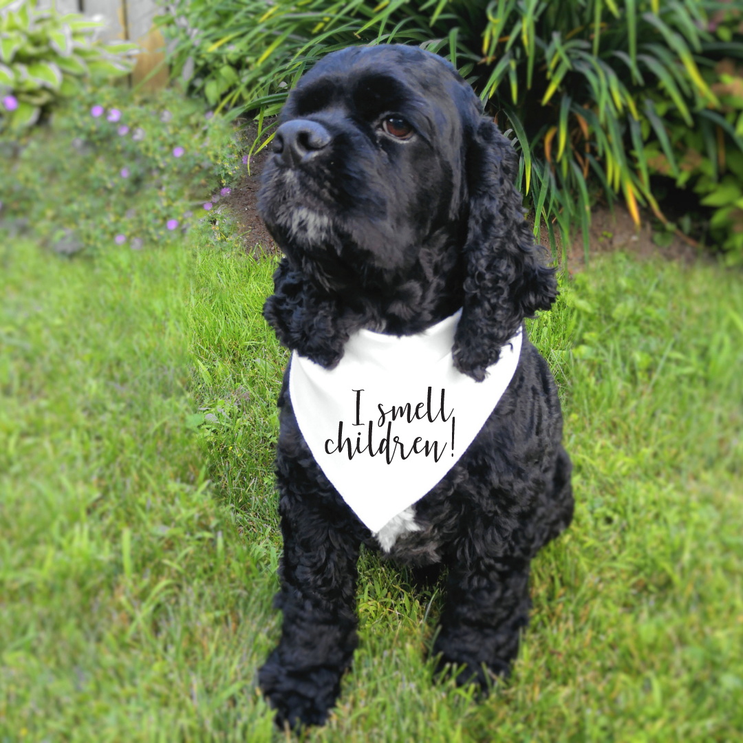 "I smell children!" Bandana Add-On