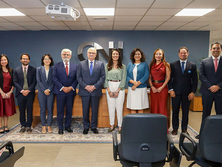 Desembargador Henrique Abi-Ackel Torres participa de seminário acadêmico internacional no CNJ