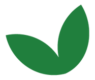 Boons Leaf