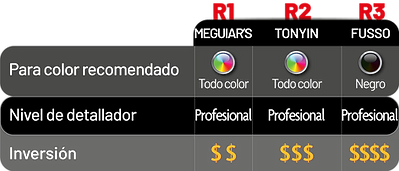 RESTAURACI脫N color