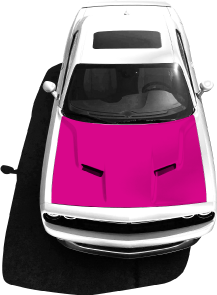 Hood Wraps Color Change and Graphic Prints