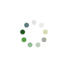Spinner-1.2s-231px.gif