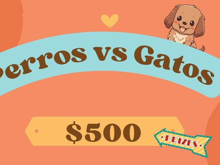 Perros VS gatos
