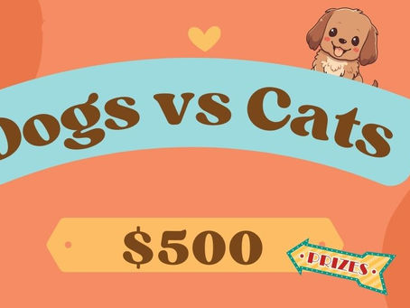 Dogs VS Cats