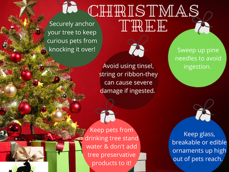 Christmas Tree Pet Safety